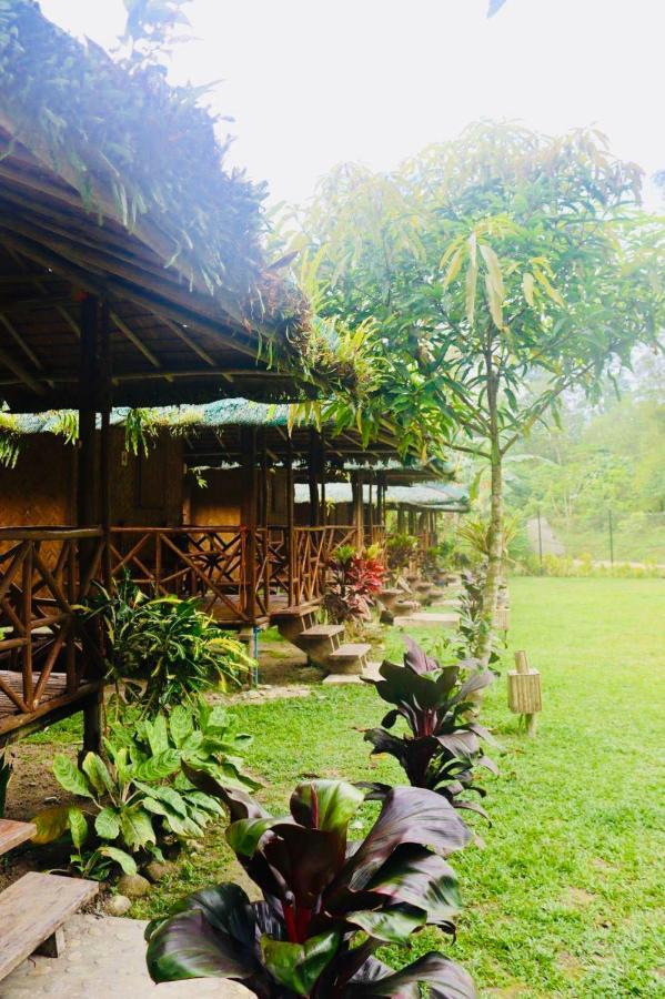 Back Trippers Inn Сан-Висенте Экстерьер фото